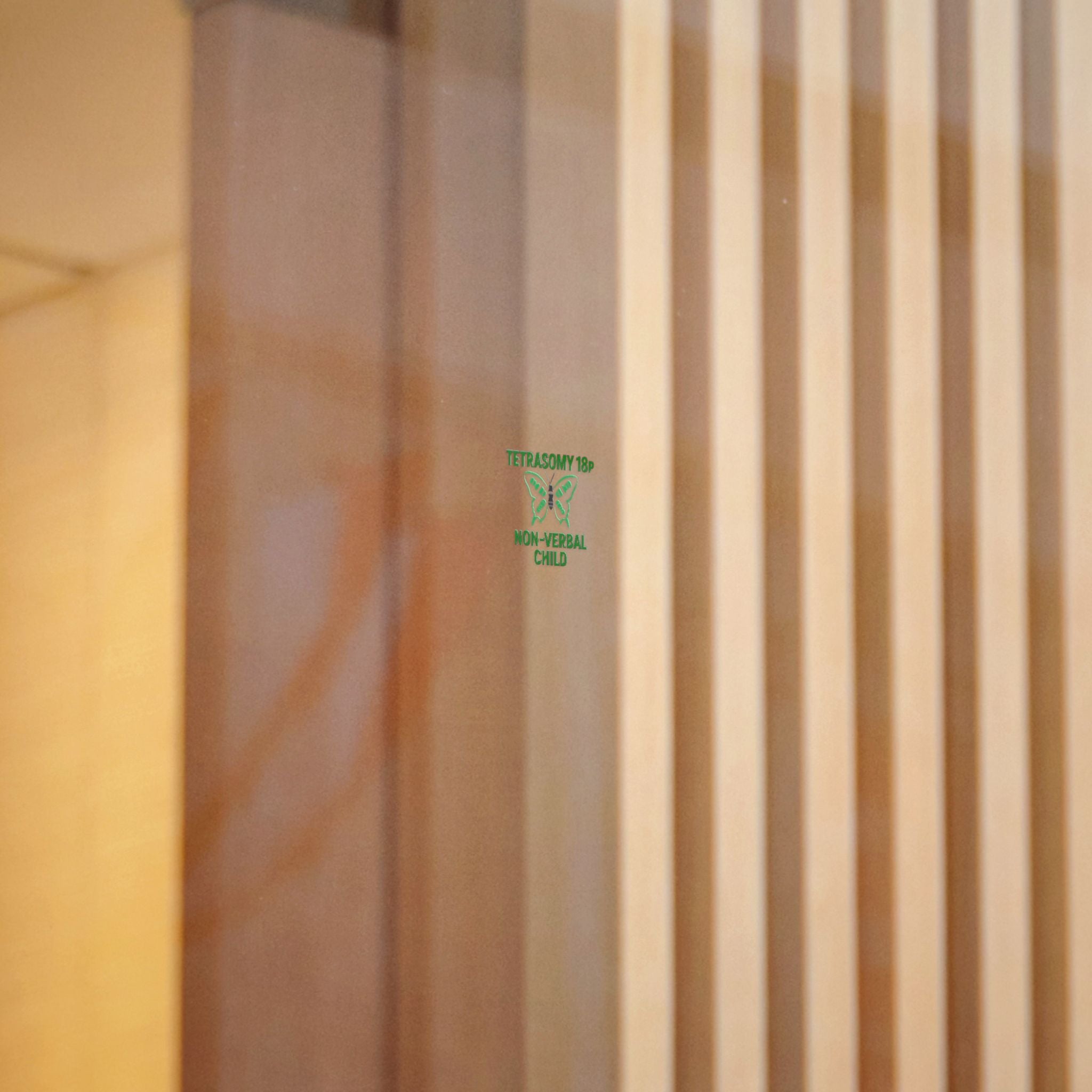 Tetrasomy 18p Butterfly Non-Verbal Child Sticker | Die Cut Sticker